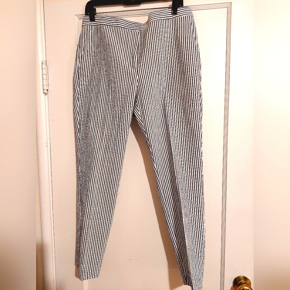 ZARA Blue & White Stripe Zipper Pants